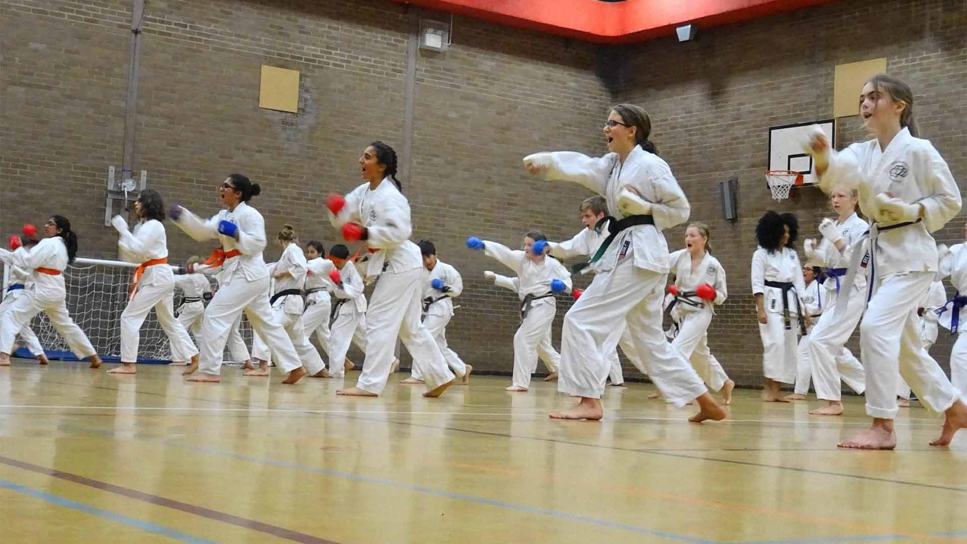 Teaching Children Karate In South West london