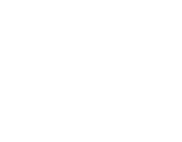 Kyo Rei Karate Sukokai Logo